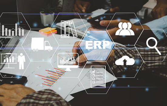 ERP Solution Company